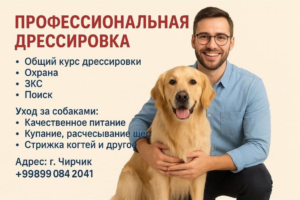 Дрессировка собак и груминг — 5
