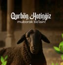 Qassob xizmati Qurbonlik uchun