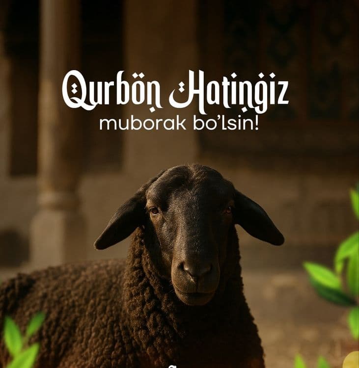 Qassob xizmati Qurbonlik uchun — 1