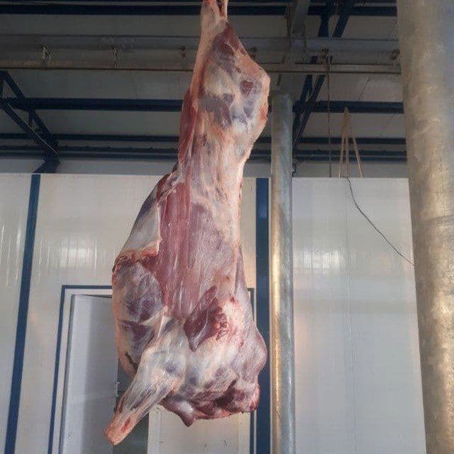 Qassob xizmati mol qoy soyish xizmati — 5