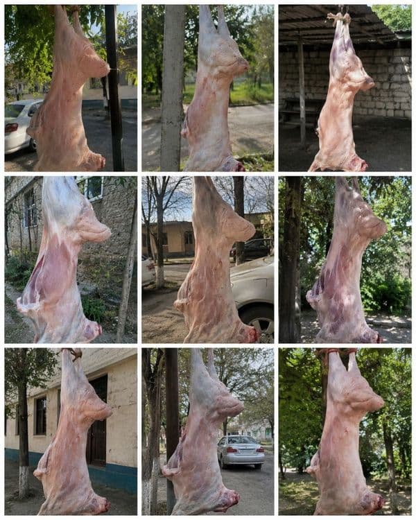 Qassob xizmati bor — 1