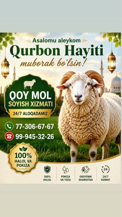 Qoy soyish hizmati 24/7 — 1