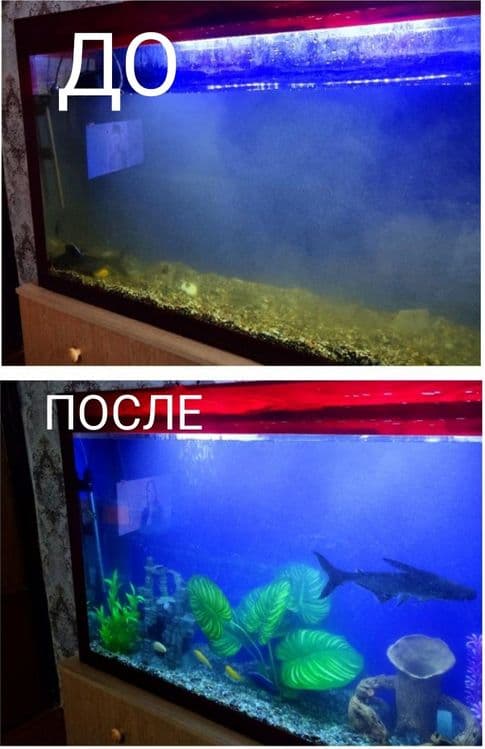 Чистка аквариума — 3