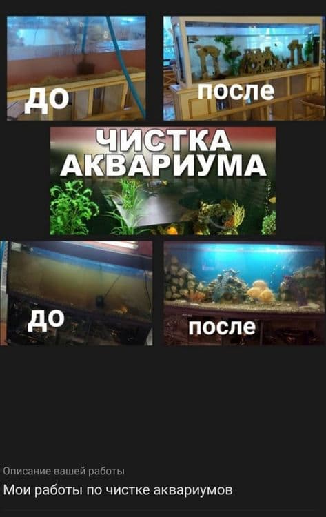 Чистка аквариума — 7