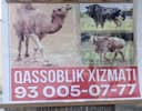 Qassob. Xizmati. Qurbonlika. Exson. Aqiqalarga