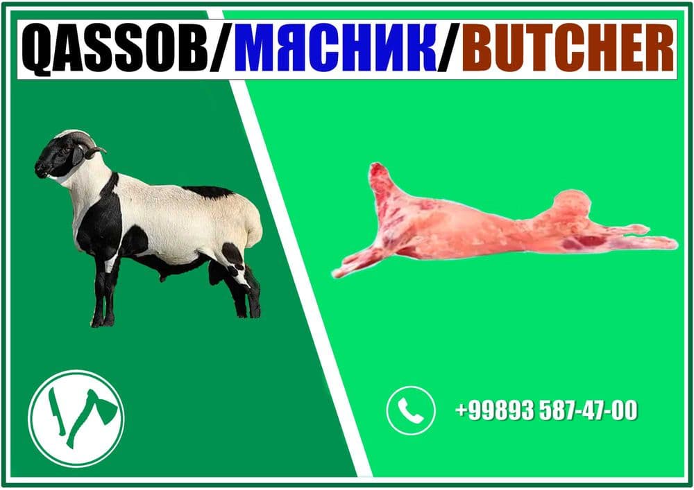 Qassob / Мясник / Butcher — 1