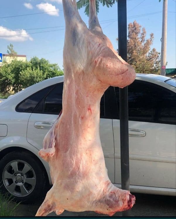 Qassob hizmati bor qoʻylarni halol va pokiza suyib beramiz — 2