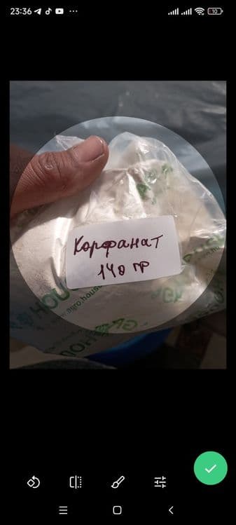 Qassob qoy soyish xizmati — 6