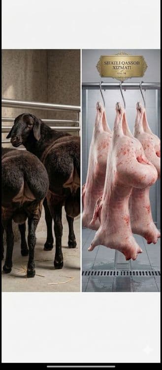 Sifatli Qassob xizmati — 1