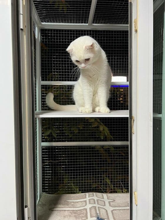 Изготавливаем АНТИ КОШКА. — 1