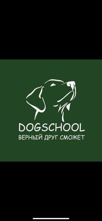 Дрессировка и передержка собак — 1