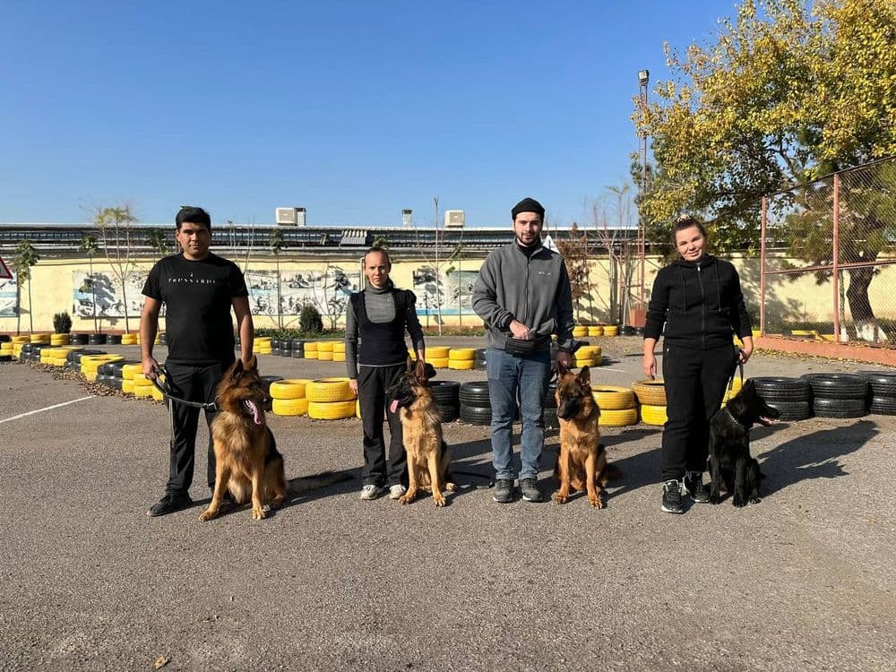 Дрессировка и передержка собак — 8