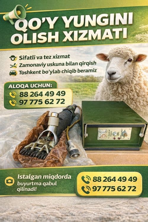Qoʻy yungini olish xizmati kelishilgan narxda — 1