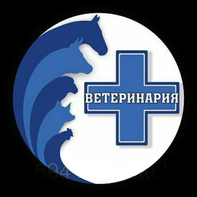 VETERINARIYA xizmati davolash — 1