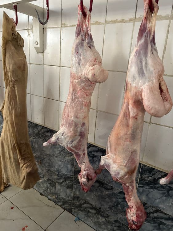 Quchqor suyib berish xizmati buxoro bóylab — 1