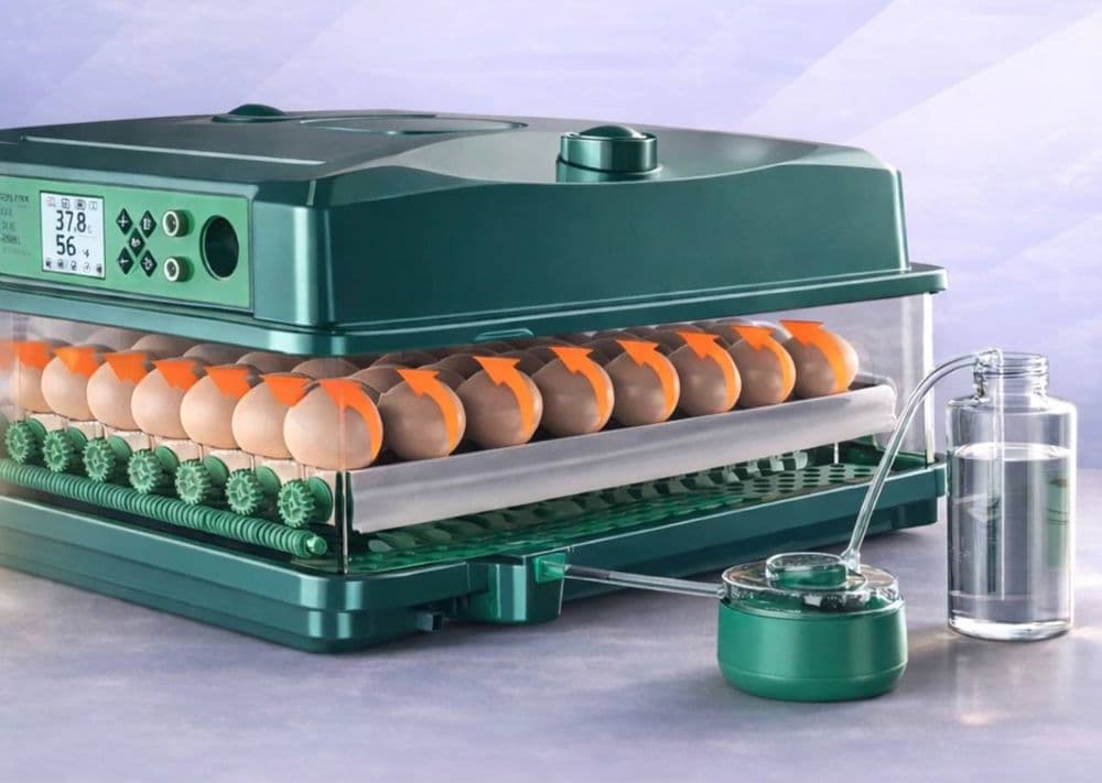 inkubator xizmati mavjud — 1