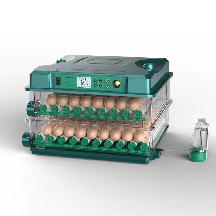 inkubator xizmati mavjud — 2
