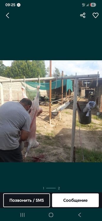 Qasob xizmati toshken sh — 1