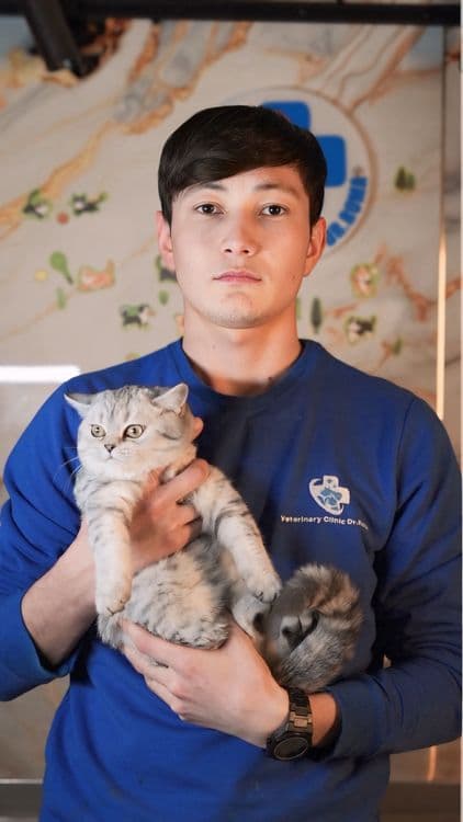 Veterinariya xizmati 24/7 — 1