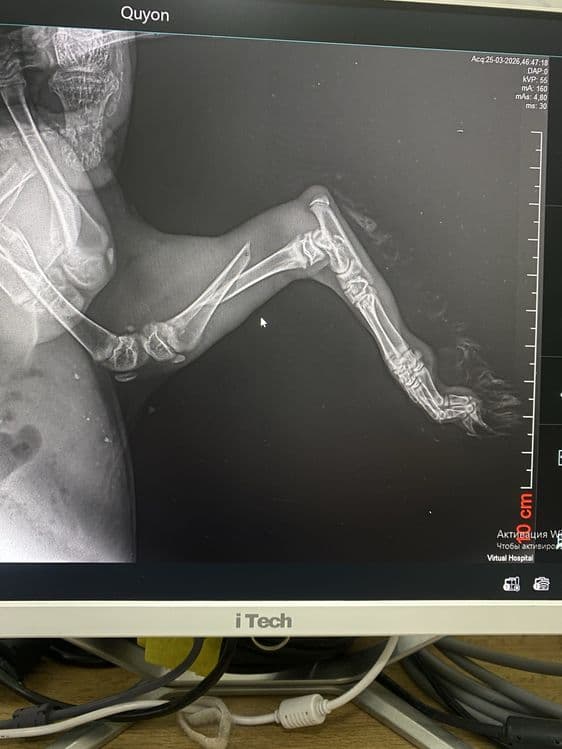 Veterinariya xizmati 24/7 — 4