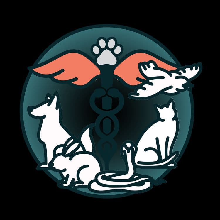 Veterinar xizmati — 1