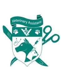 Veterinar xizmati — 3