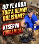 Veterinariya xizmati 24/7 xizmatda
