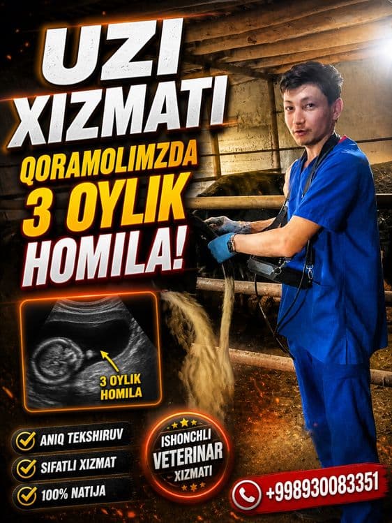 Veterinariya xizmati 24/7 xizmatda — 3