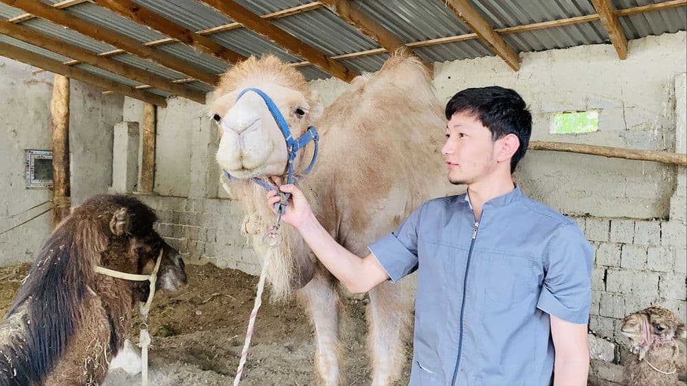 Veterinariya xizmati 24/7 xizmatda — 4