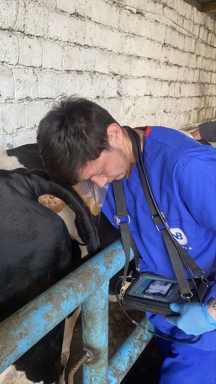 Veterinariya xizmati 24/7 xizmatda — 5