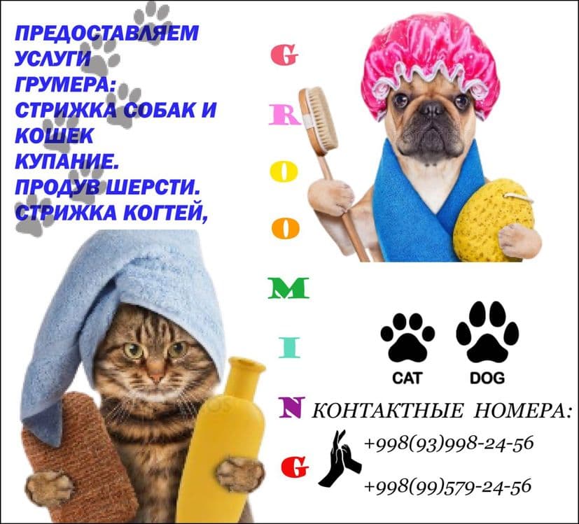 Предоставляем услуги грумера:
 - Стрижка собак и кошек.
 - Купание . — 1
