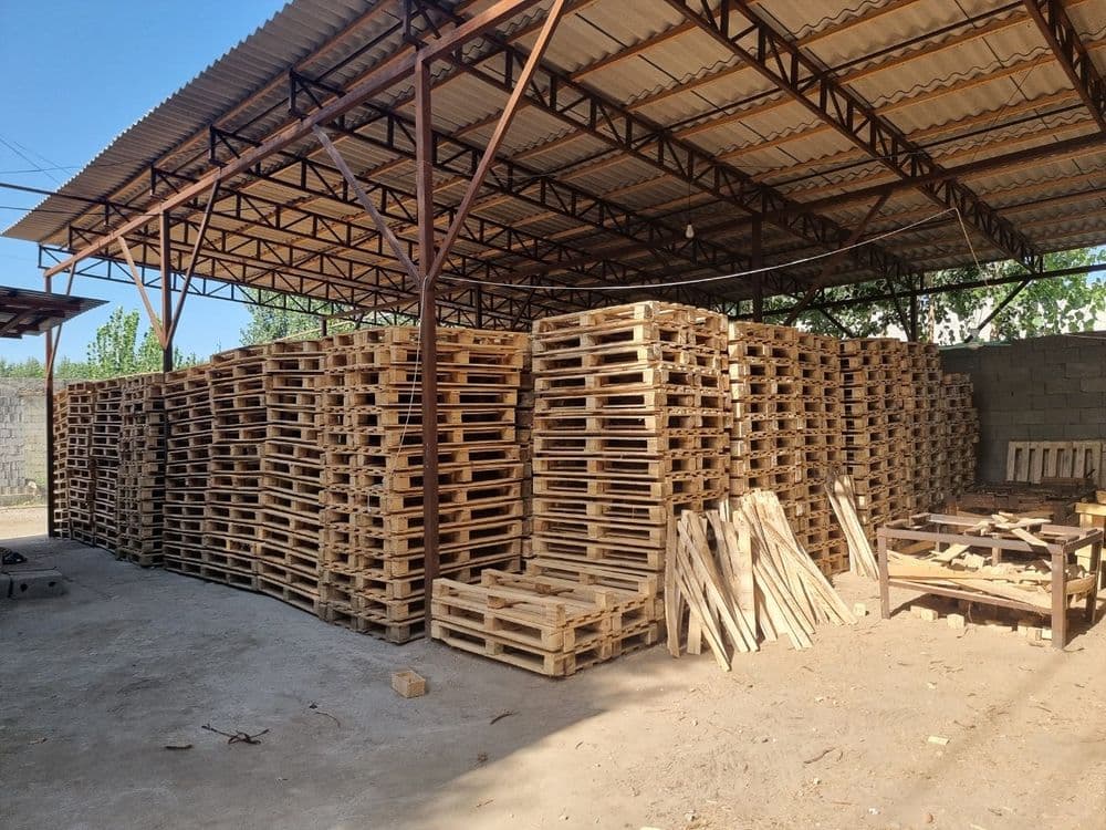 Paddon hohlagan zakasga qarab tayyorlab beriladi — 2