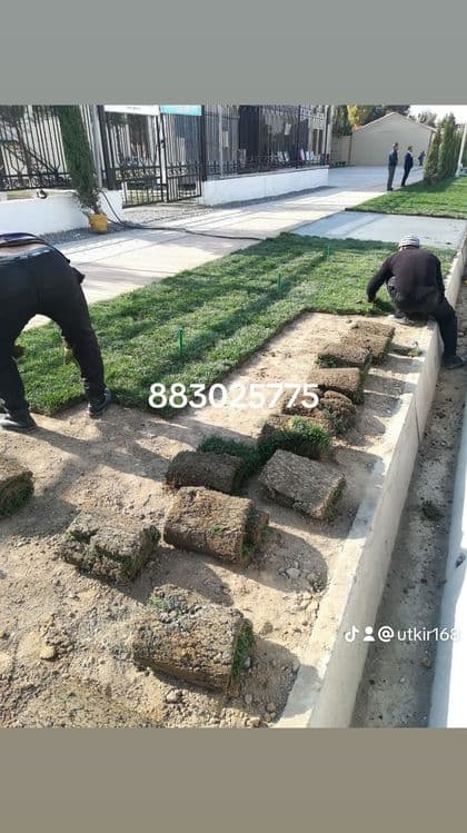 Ruloniy gazon ekish xizmati — 6