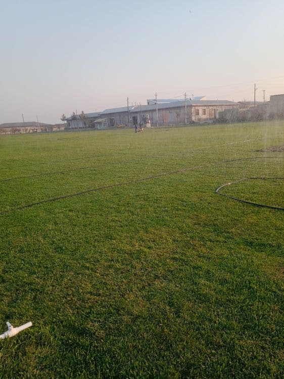 Gazon landshaft dizayn bogbon sadovnik archa strijka xizmati — 2