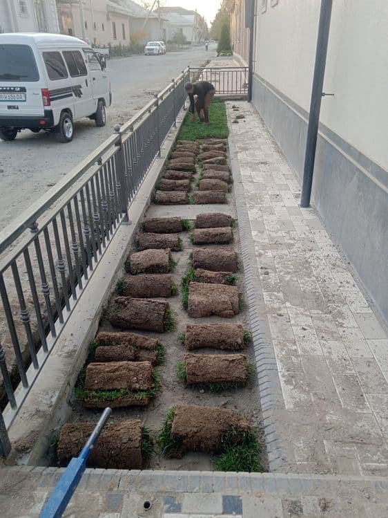 Gazon landshaft dizayn bogbon sadovnik archa strijka xizmati — 8