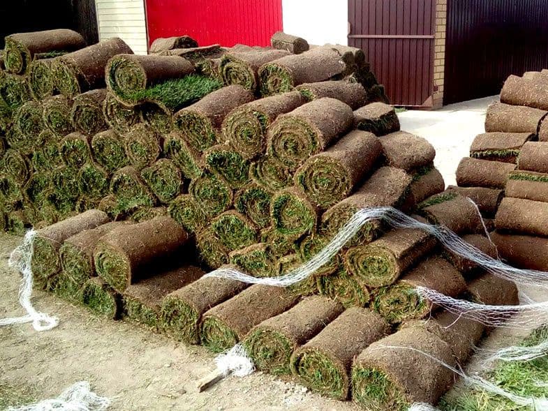 Gazon ekamiz va o'ramiz, tayyor Gazonlar bor 1 kunda urnatib beramiz. — 1