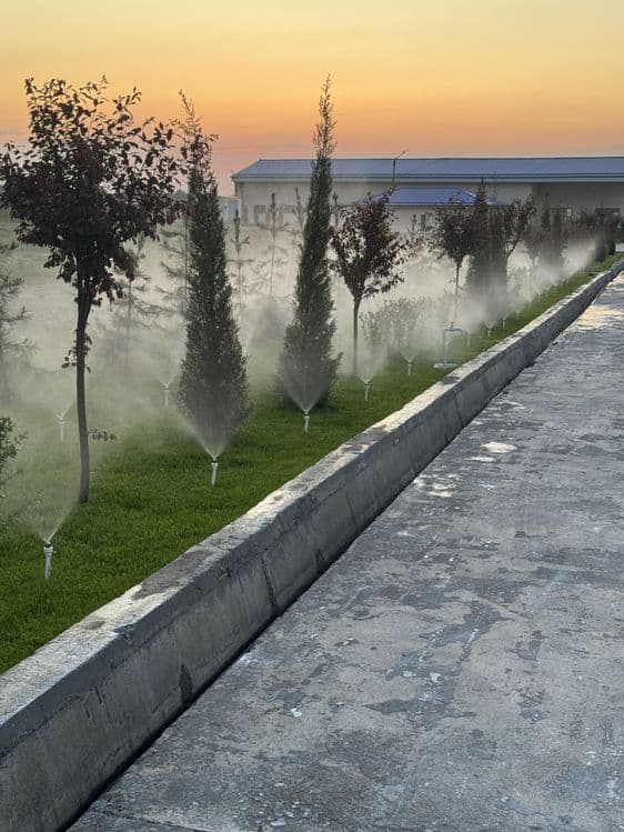 Gazon tayor ruloni landshaf dizayin xizmati — 1