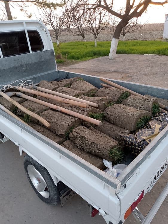 Gazon tayor rulon landshaft dizayni xizmatlar archga forma berishi — 4