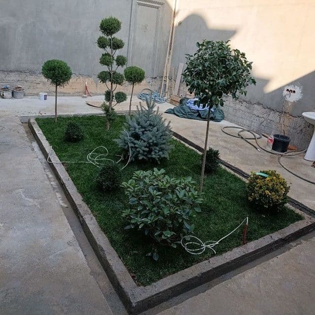 Gazon tayor rulon landshaft dizayni xizmatlar archga forma berishi — 5