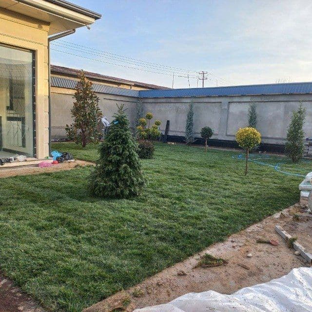 Gazon tayor rulon landshaft dizayni xizmatlar archga forma berishi — 7