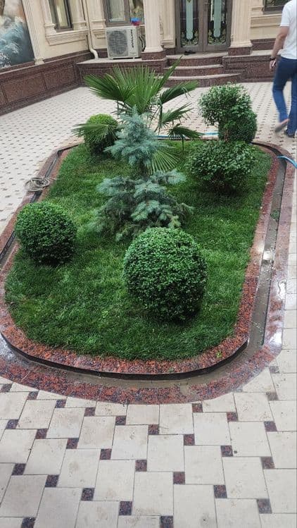 Gazon xizmati bor ekish 25 ming tayor gazon yotqizish 60 mingdan — 4