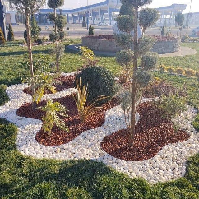 Gazon ruloni uruğ xam sepamiz landshaft dizayni xizmatlari — 3