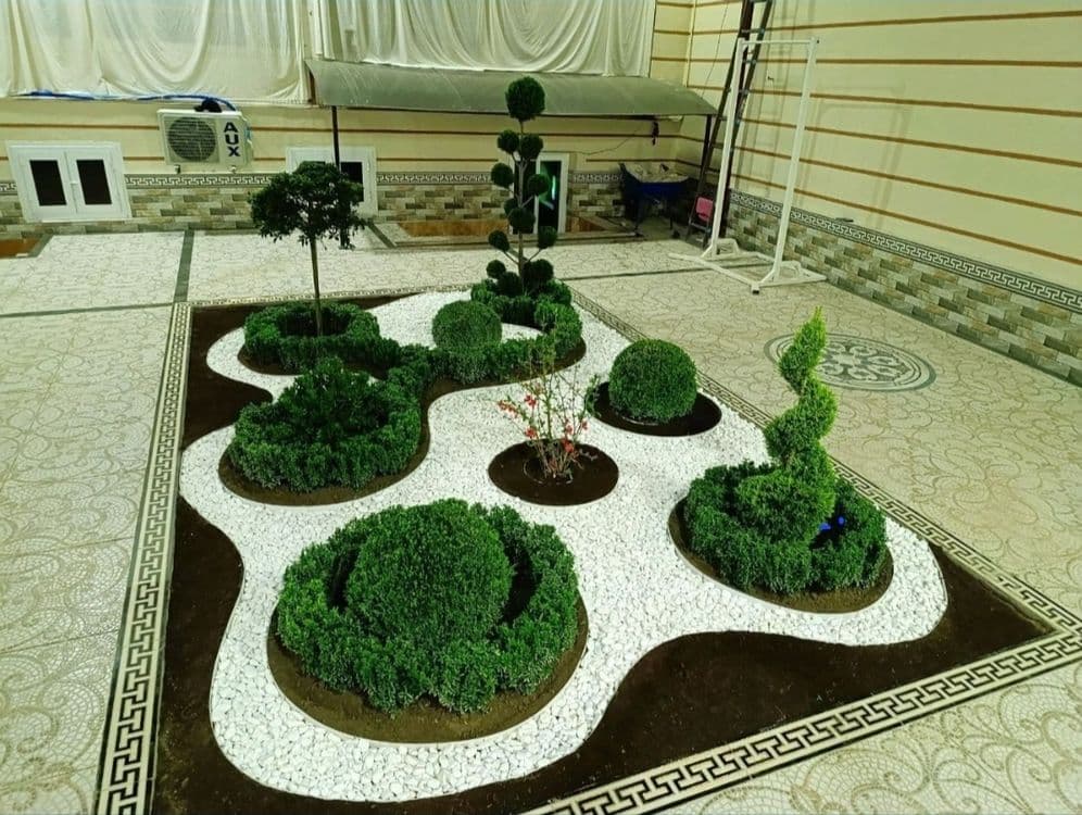 Gazon (chim) Landshaft dizayn — 5