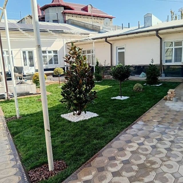 Savdonik tok kesish daraxt kesish — 6