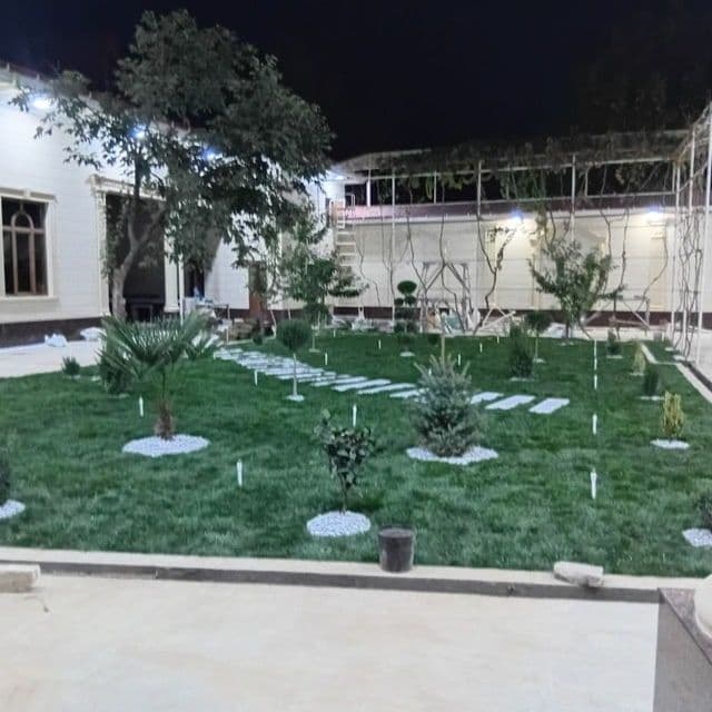 Savdonik tok kesish daraxt kesish — 7
