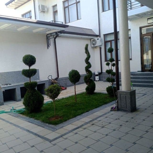 Savdonik tok kesish daraxt kesish — 8