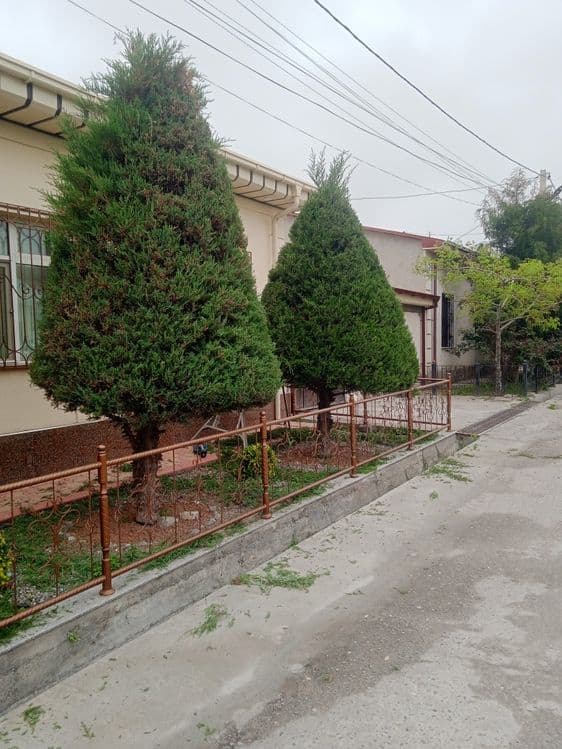 Landshaftni dizayner gazon xizmati — 4