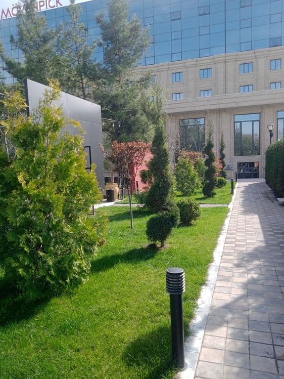 Landshaftni dizayner gazon xizmati — 5