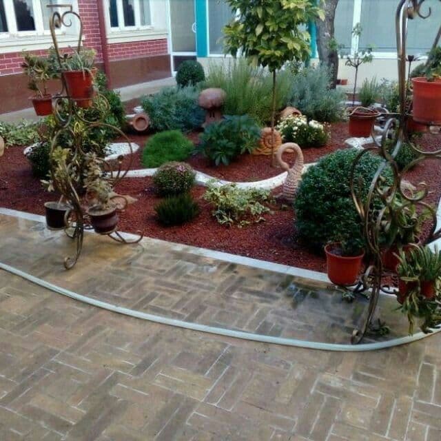 Gazon landshaf dizayin xizmat — 4
