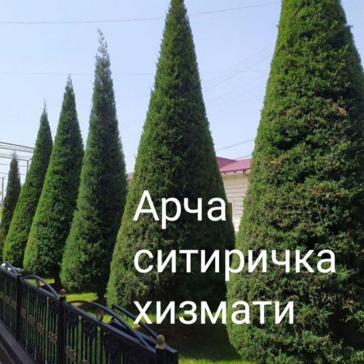 Ландшафтный дизайн — 2
